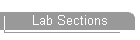 Lab Sections